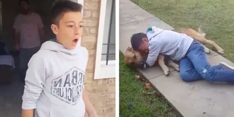 Un garçon retrouve son chien bien-aimé, disparu il y a 8 mois. Les larmes coulent ! 1 garçon retrouve chien disparu 8 mois