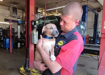 mécanicien sort sac à dos poubelle découverte choquante