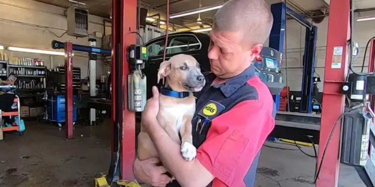 Le mécanicien sort un sac à dos de la poubelle et fait une découverte choquante 1 mécanicien sort sac à dos poubelle découverte choquante