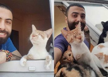 homme sauvé 9 chats viennent nuit remercier