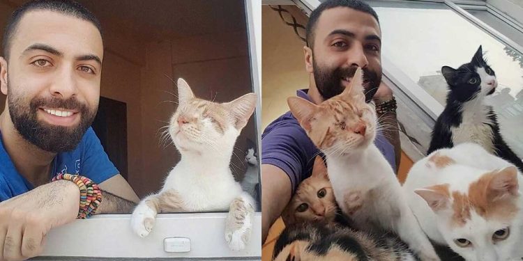 homme sauvé 9 chats viennent nuit remercier