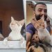 homme sauvé 9 chats viennent nuit remercier