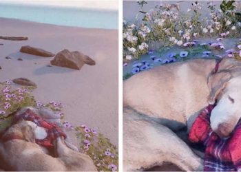 propriétaire crée monde virtuel chien décédé