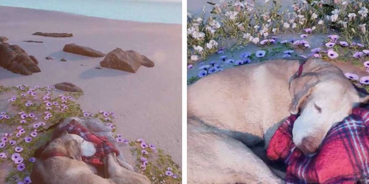 propriétaire crée monde virtuel chien décédé