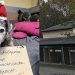 refuge animaux reçoit boîte note émotionnelle