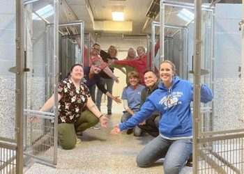 véritable miracle Noël refuge animaux