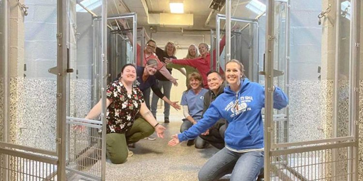 Un refuge pour animaux est vide pour la première fois en près de 50 ans ! 1 véritable miracle Noël refuge animaux