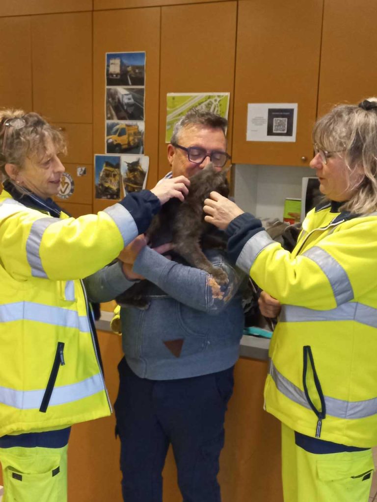 Charente-Maritime chat retrouve maître après quatre mois
