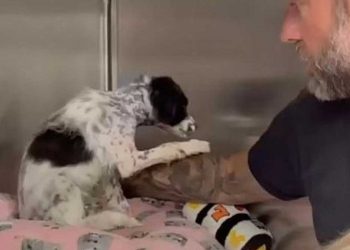 arrivé refuge ferait jamais confiance à personne