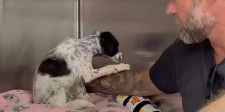 arrivé refuge ferait jamais confiance à personne