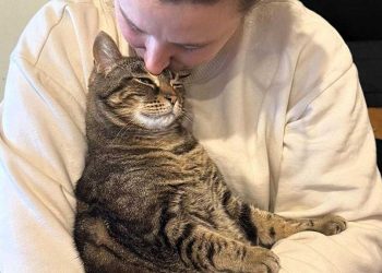 chatte rejetée réaction serrée bras