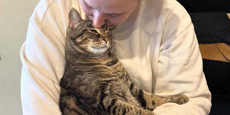 La chatte s’est sentie rejetée puisqu’elle a été placée à l’isolement. C'était sa réaction quand quelqu'un l'a finalement serrée dans ses bras 1 chatte rejetée réaction serrée bras