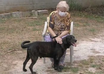 chien emménage maison retraite ne pas être séparé propriétaire