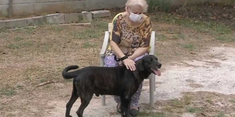 chien emménage maison retraite ne pas être séparé propriétaire