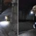 Un chien utilise une torche tous les soirs pour éclairer le chemin du retour de sa propriétaire 6 chien utilise torche soirs éclairer chemin propriétaire