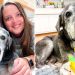 Deux amies adoptent une chienne de refuge de 19 ans et rendent ses derniers jours magiques 3 deux amies adoptent chienne refuge 19 ans