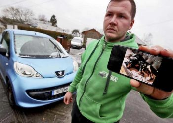 homme offre voiture récompense retrouver chiens perdus