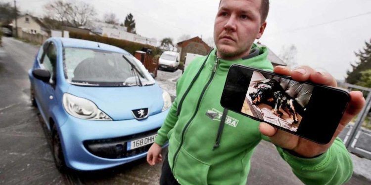 homme offre voiture récompense retrouver chiens perdus