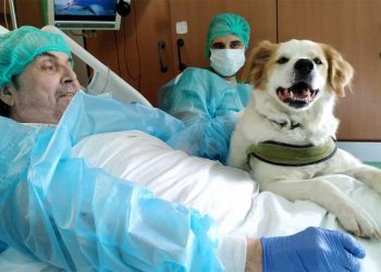 hospitalise depuis un an réalise rêve revoir chien