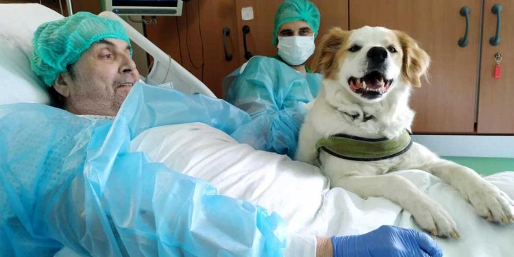 hospitalise depuis un an réalise rêve revoir chien