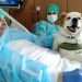 hospitalise depuis un an réalise rêve revoir chien