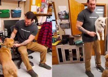 Cet homme décidé donner foyer chien indésirable