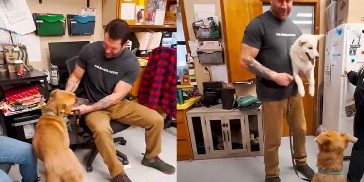 Cet homme décidé donner foyer chien indésirable