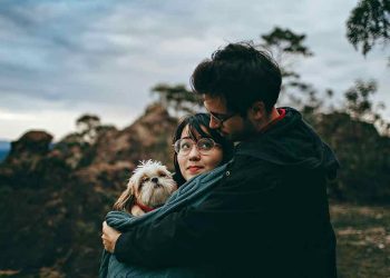 chien jaloux partenaire comportements