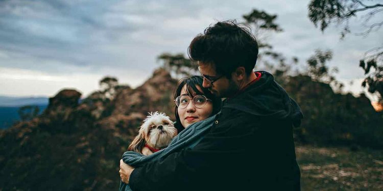 chien jaloux partenaire comportements