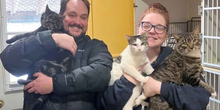 couple rendu refuge adopter chat ressort avec trois