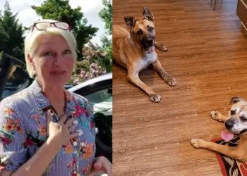 femme visite refuge ramener chiens âgés