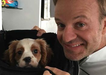 pilote de Formule 1 dévasté mort chien