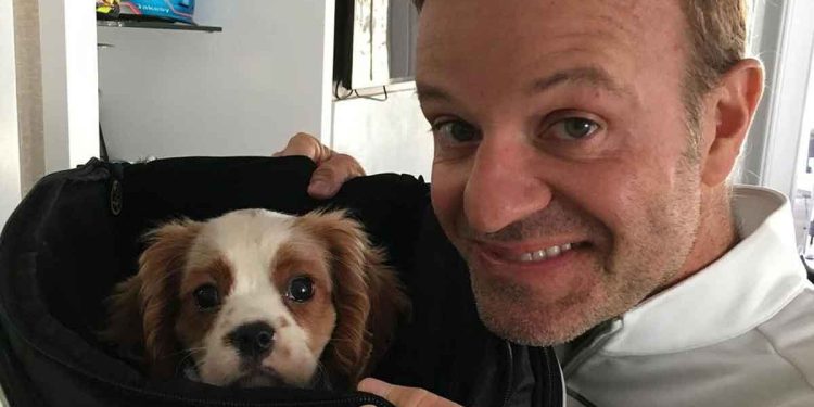 pilote de Formule 1 dévasté mort chien