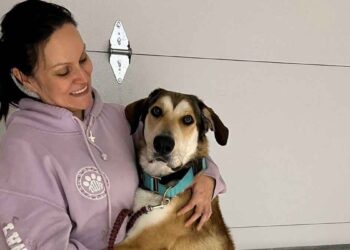 Le chien a été adopté et est sorti du refuge plein de joie. Il est revenu après 30 minutes