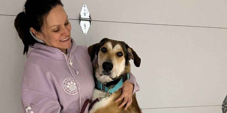 Le chien a été adopté et est sorti du refuge plein de joie. Il est revenu après 30 minutes