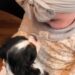 Un chiot et un bébé se rencontrent pour la première fois – « C’est déjà un lien très spécial » 3 Un chiot et un bébé se rencontrent pour la première fois