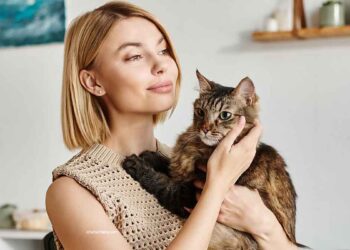 Effectuez ce geste pour gagner l'affection du chat. C’est ainsi que vous lui transmettrez un message clair 8 Effectuez ce geste pour gagner l'affection du chat