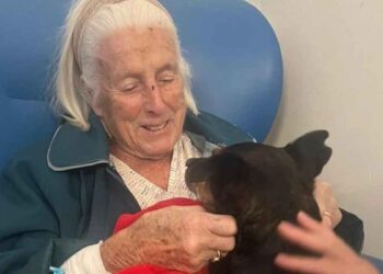 Le chien a rendu visite à une vieille femme hôpital