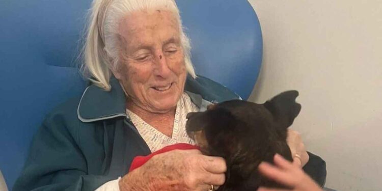 Le chien a rendu visite à une vieille femme hôpital
