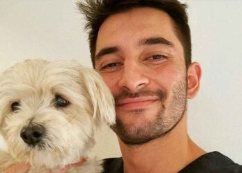 Le vétérinaire met en garde les propriétaires de chiens. Cette erreur a coûté la vie à son animal de compagnie