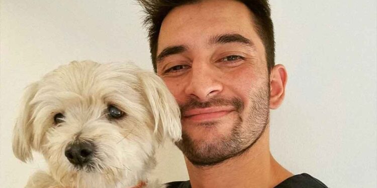 Le vétérinaire met en garde les propriétaires de chiens. Cette erreur a coûté la vie à son animal de compagnie