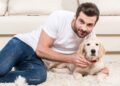 Les 5 races de chiens les plus fidèles