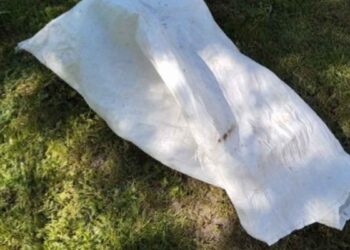 Les enfants ont remarqué que le sac près de l'étang bougeait. Ils ont immédiatement appelé les adultes