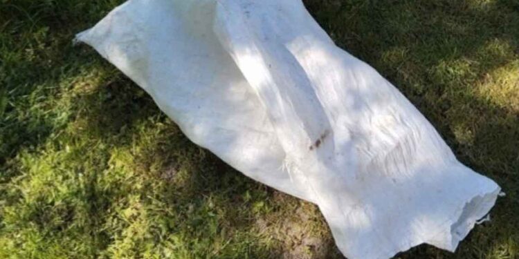 Les enfants ont remarqué que le sac près de l'étang bougeait. Ils ont immédiatement appelé les adultes