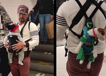 Un homme utilise un double sac banane pour transporter son bébé et son chien en même temps