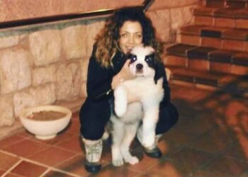 Une femme a adopté un chiot Saint-Bernard. Elle a partagé ce qui lui est arrivé 3 ans plus tard