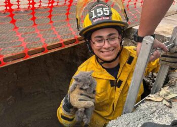 Une fille donne à son chat le nom du pompier qui l'a sauvée