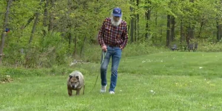 homme atteint maladie terminale veut reloger son chien