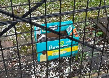 Il y eut un bruit de grincement venant de la boîte, une bonne âme intervient