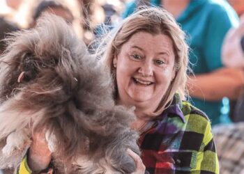 chien le plus laid du monde 2024 a été élu